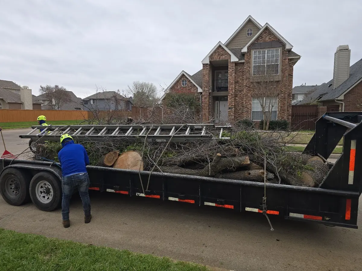 Expert Lot Clearing with proper safety equipment in Ashton